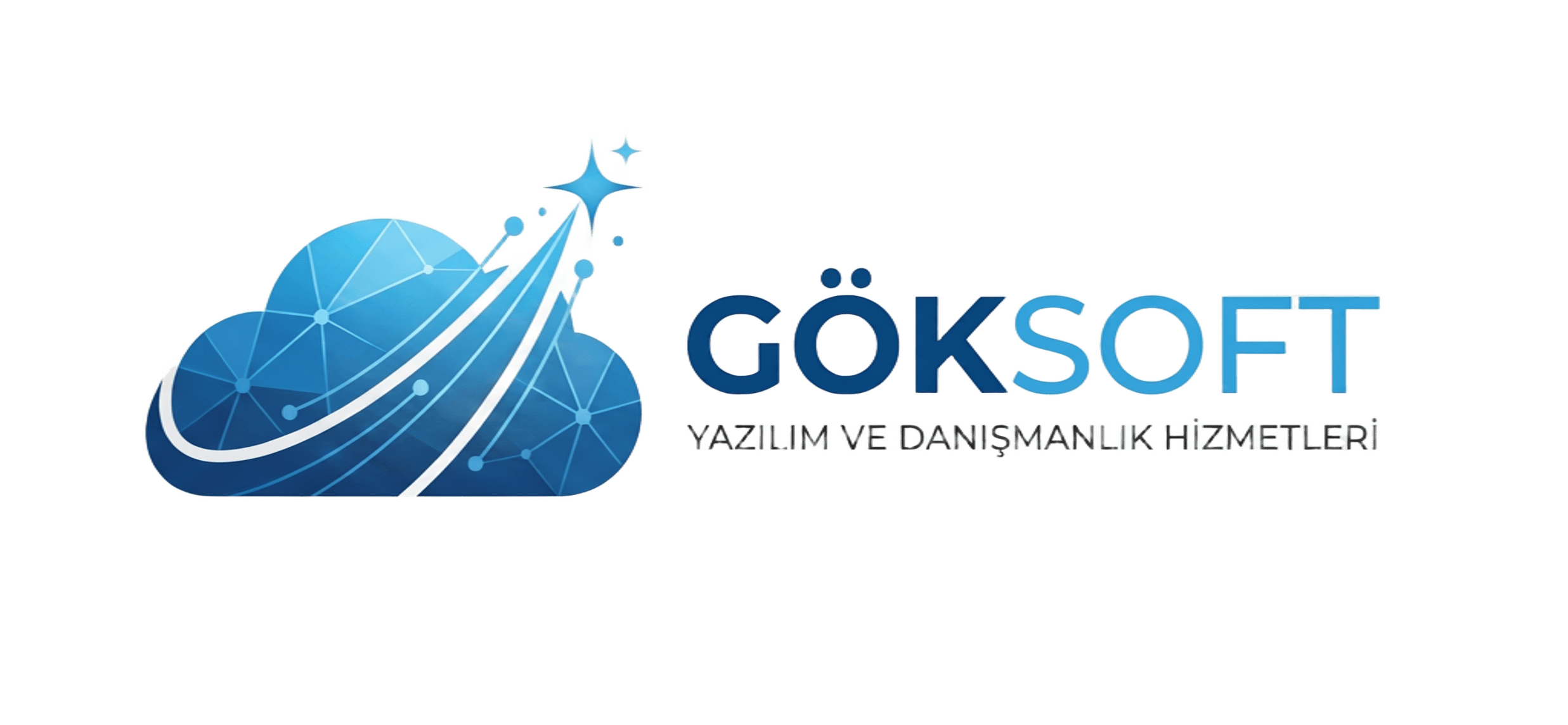 GökSoft yazılım şirketi